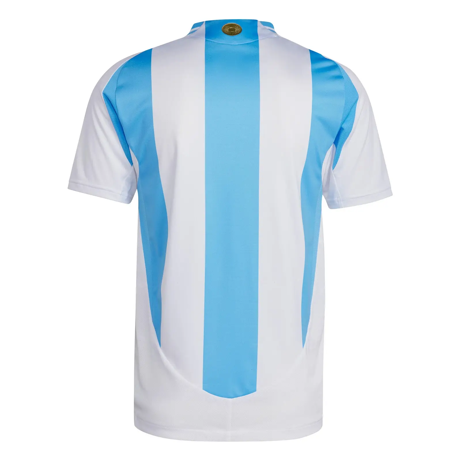 Argentinahome2024 back