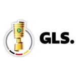 DFB Pokal badge & GLS badges +$2.00